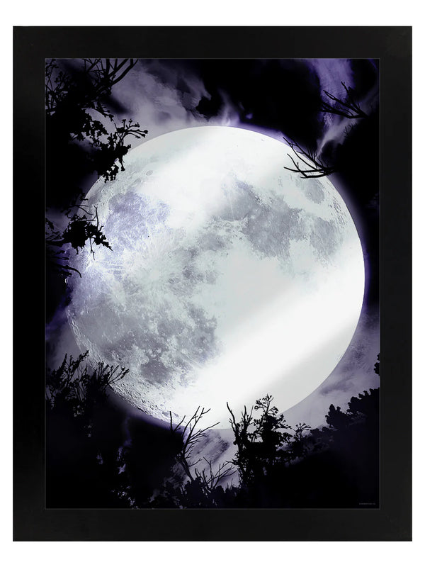 Celestial Moon Mirror