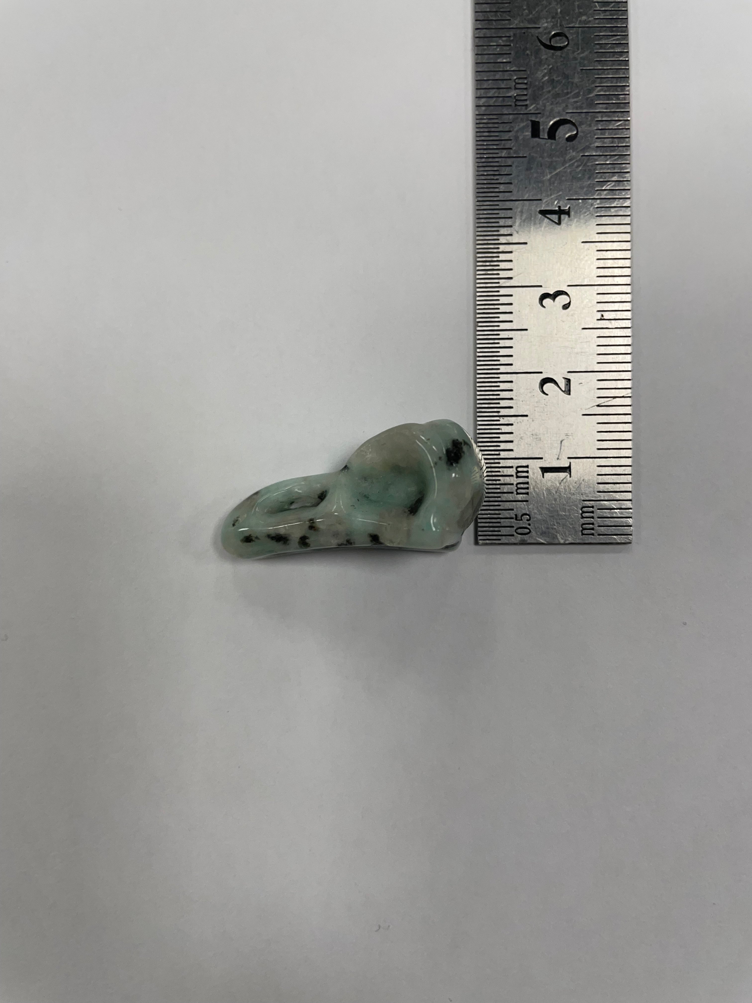 Mini Kiwi Jasper Bird Skull