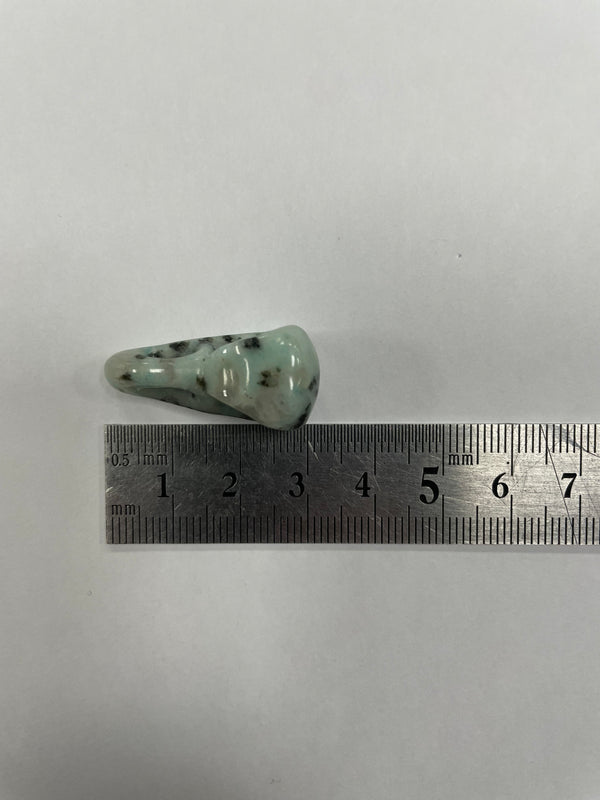 Mini Kiwi Jasper Bird Skull