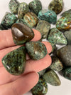 African Turquoise TS