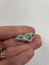 Mini Kiwi Jasper Bird Skull