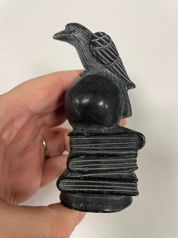 Black Obsiadian Crow on Skull