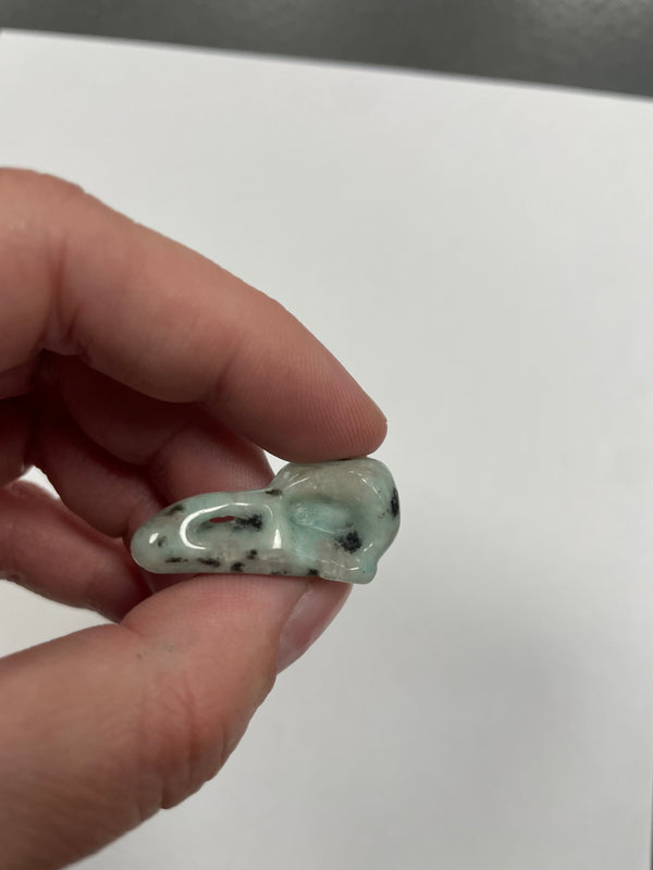 Mini Kiwi Jasper Bird Skull