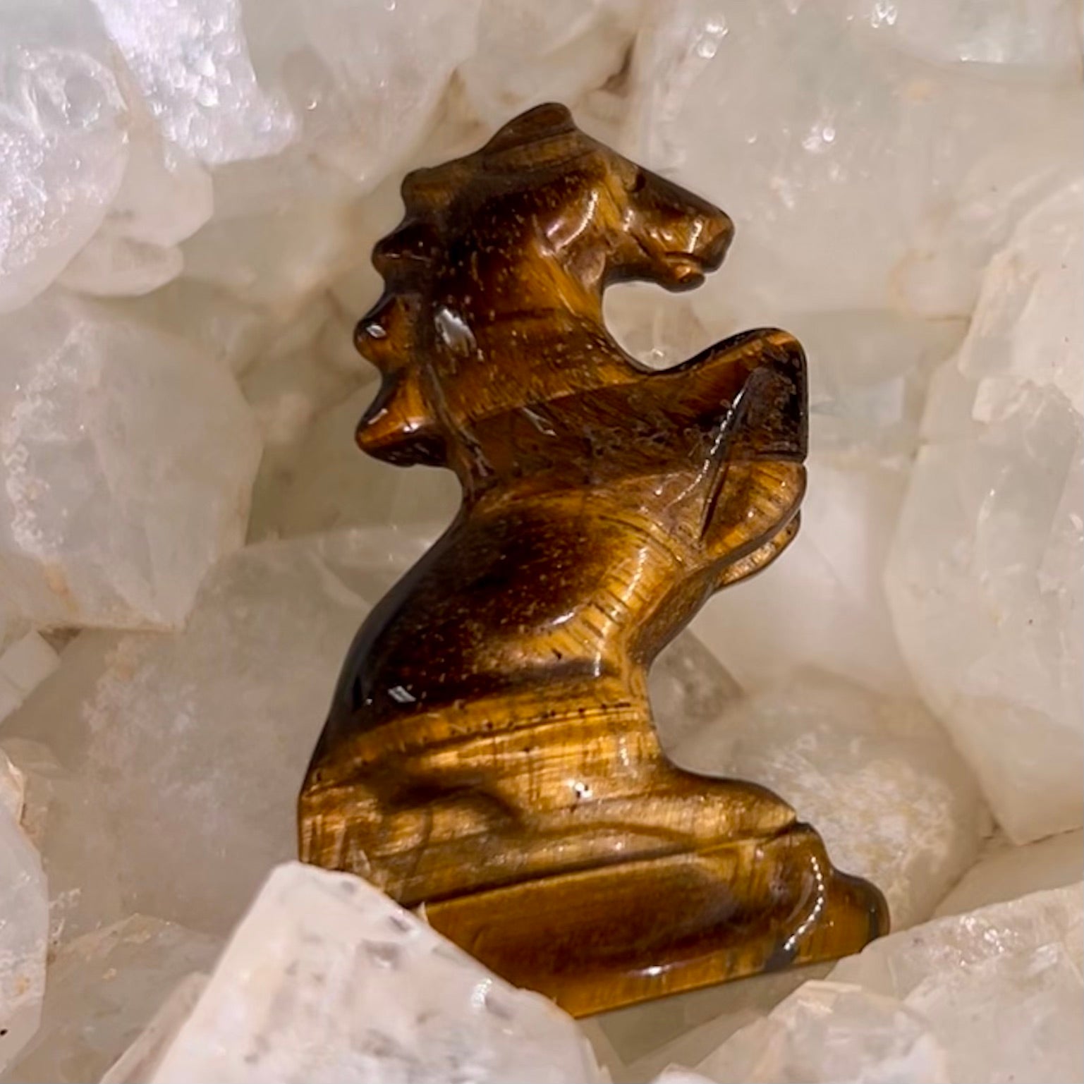 Tigers Eye Horse
