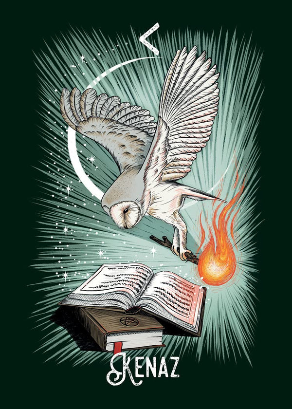 The Witchs Familiar Runic Oracle