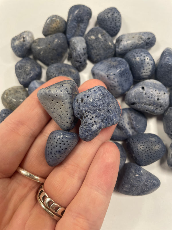Blue Coral TS