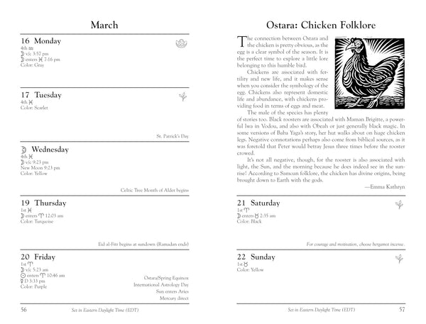 Llewellyns 2026 Witches Datebook
