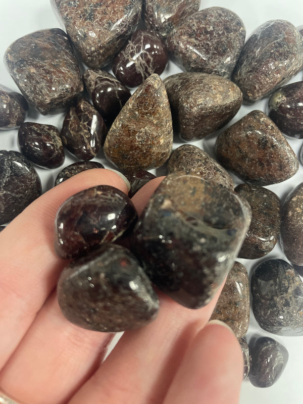Garnet TS