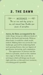 The Wild Goddess Oracle