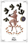 Witchs Shadow Work Oracle