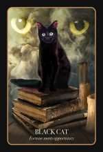 Halloween Oracle