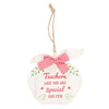 Teachers Like You Apple Hanging Decoration