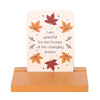 Autumn Magic Affirmation Cards with Stand
