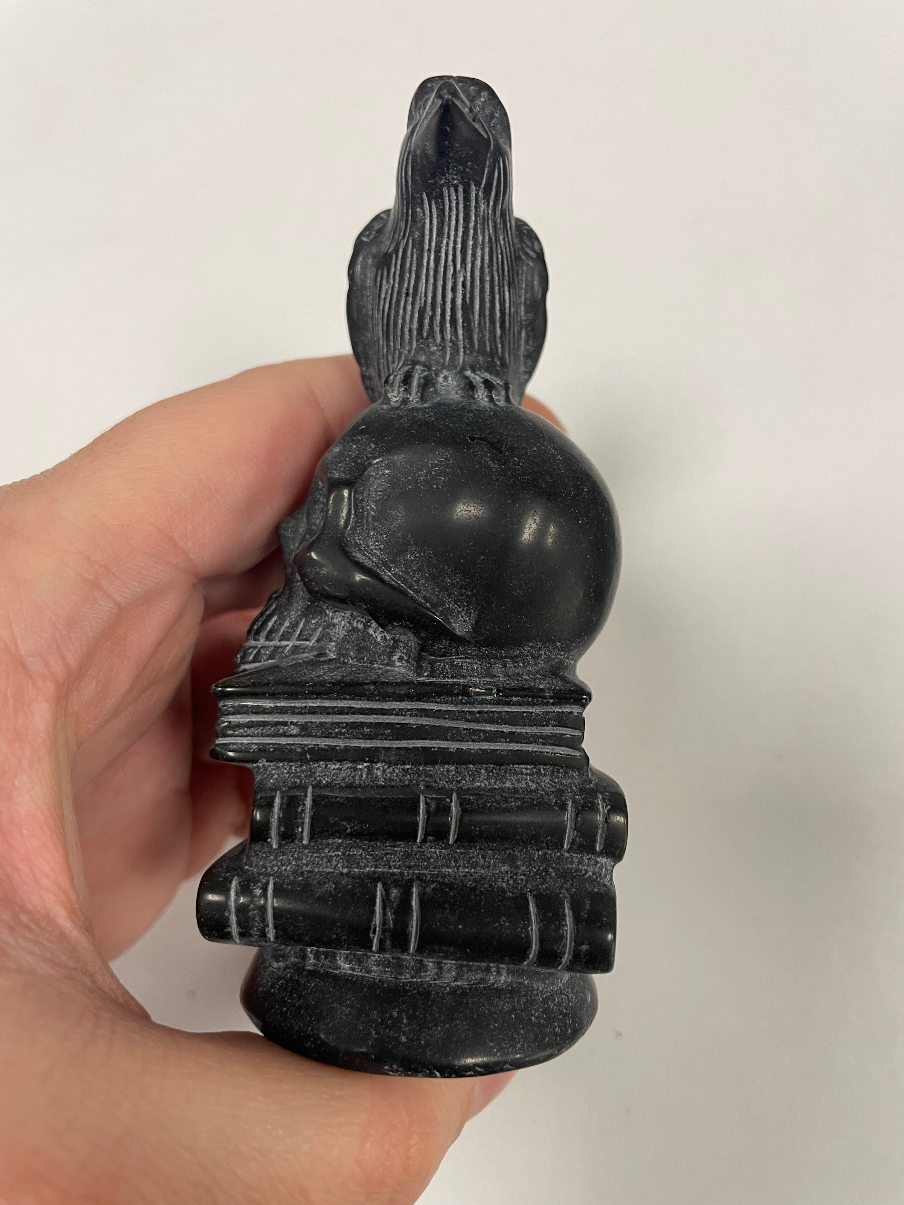 Black Obsiadian Crow on Skull