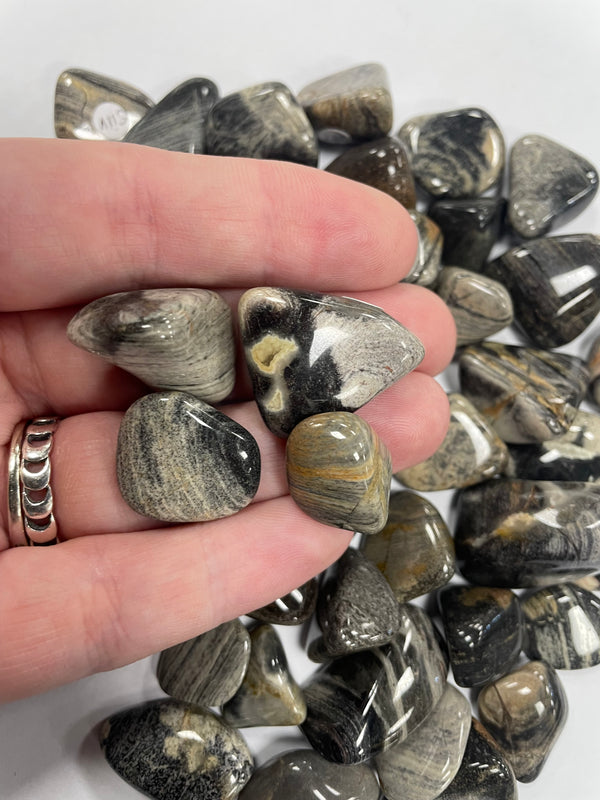 Silver Leaf Jasper TS