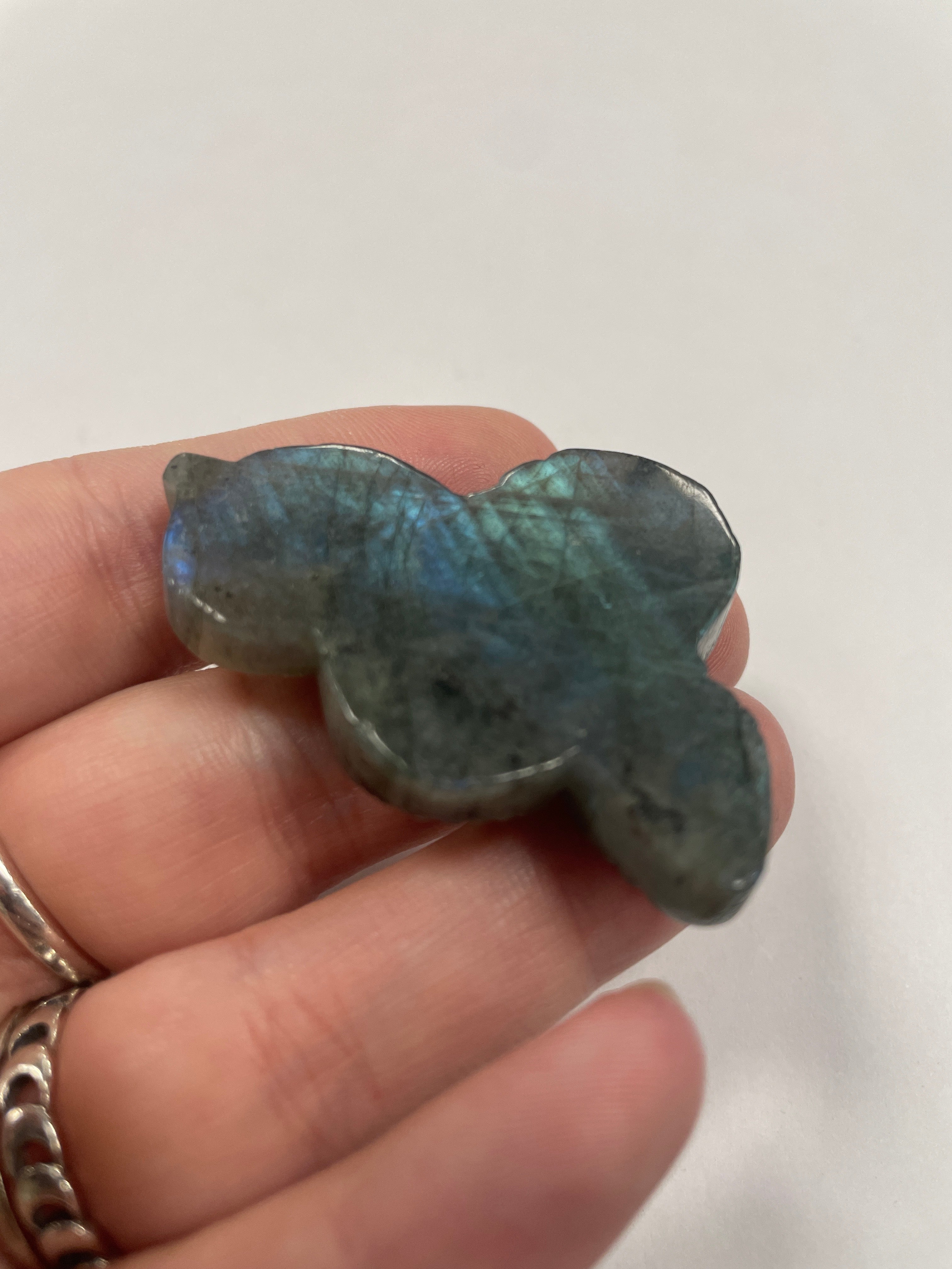 Labradorite Snake