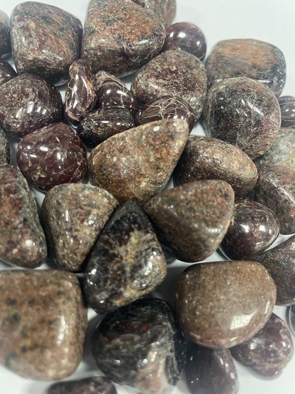 Garnet TS