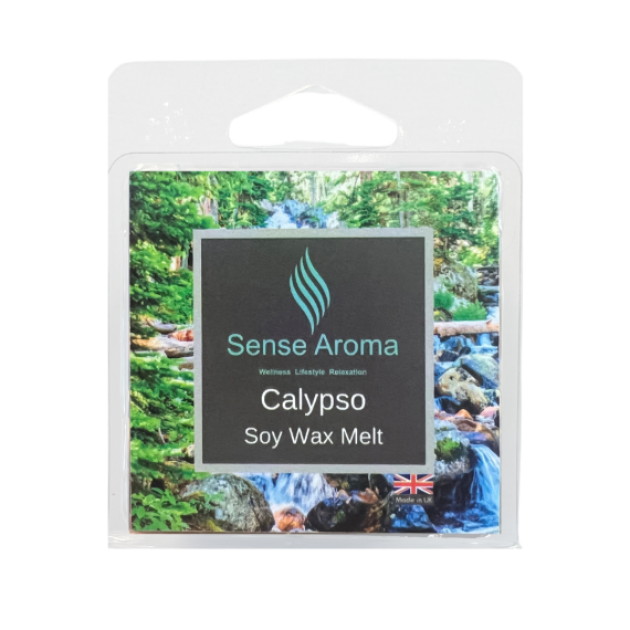 Calypso Soy Wax Melt