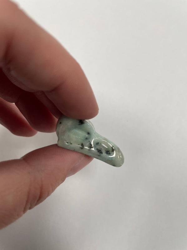 Mini Kiwi Jasper Bird Skull