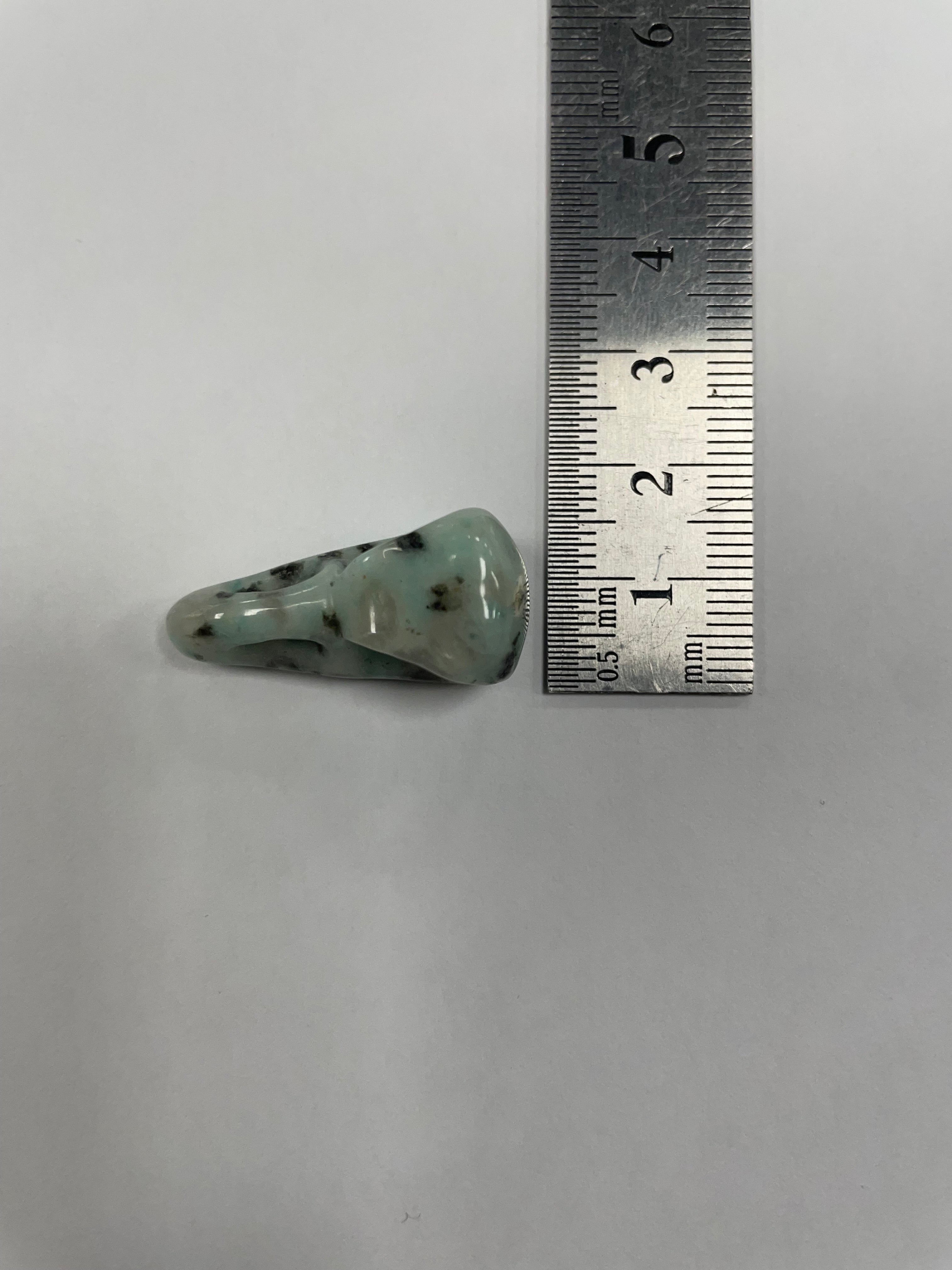Mini Kiwi Jasper Bird Skull