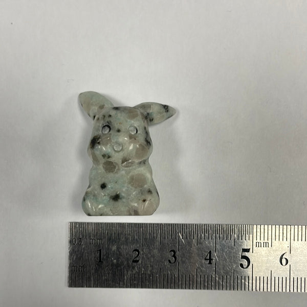 Kiwi Jasper Pikachu