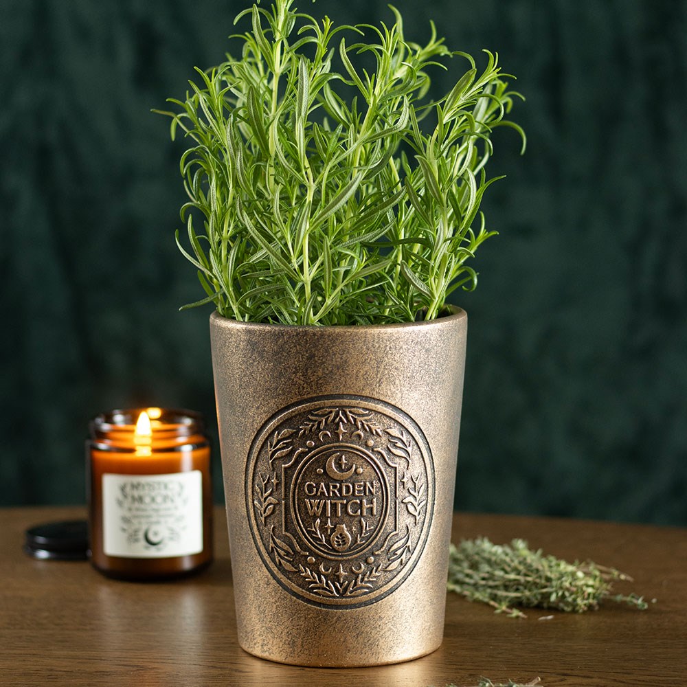 Green Witch Bronze Effect Terracotta Plant Pot