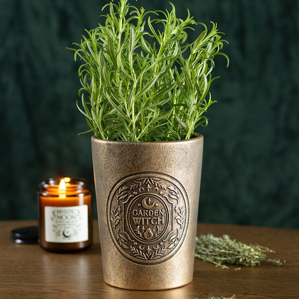 Green Witch Bronze Effect Terracotta Plant Pot