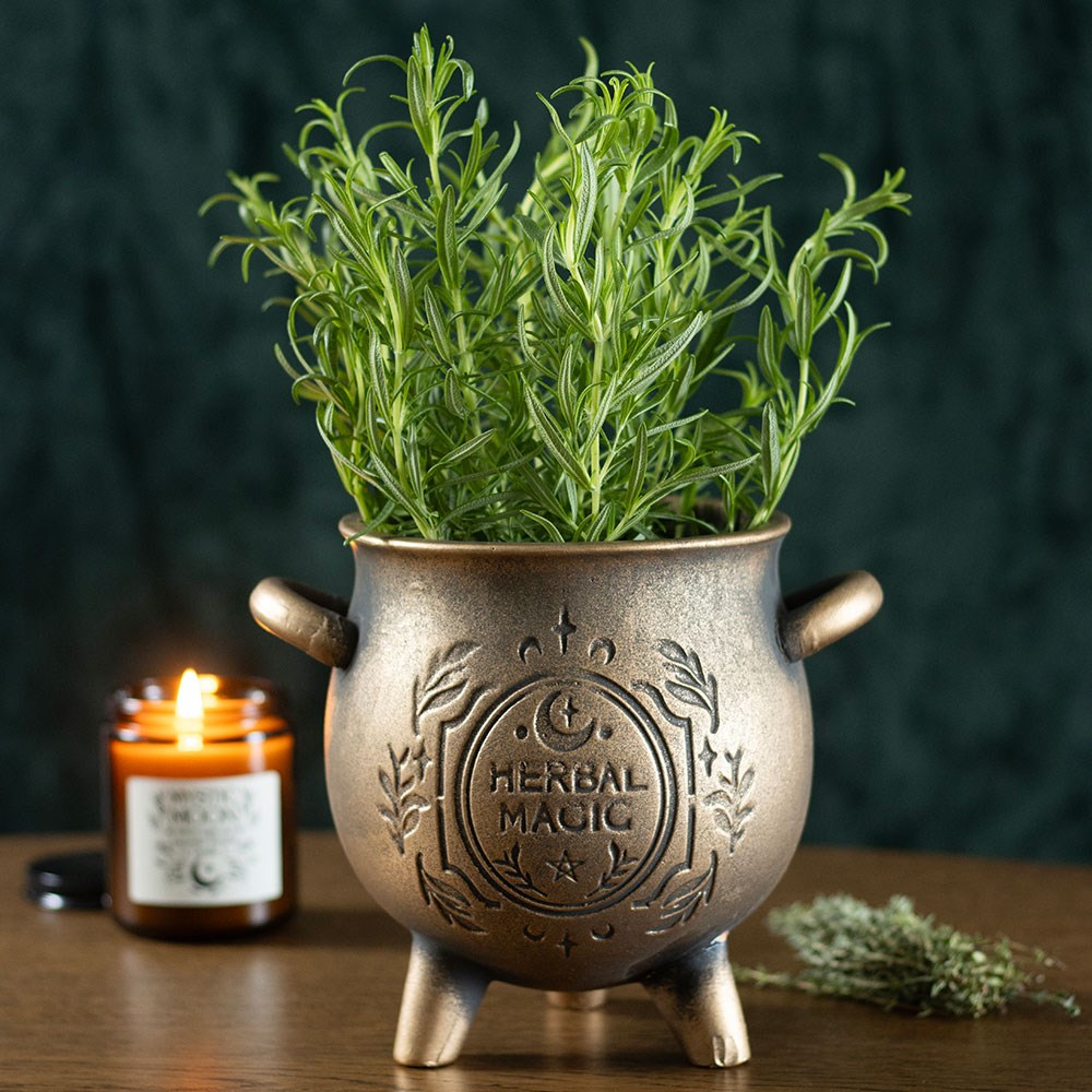 Herbal Magic Bronze Effect Teracotta Cauldron Plant Pot