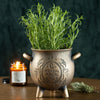 Herbal Magic Bronze Effect Teracotta Cauldron Plant Pot