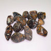 Cheetah Agate TS