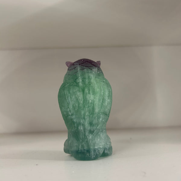 Fluorite Owl