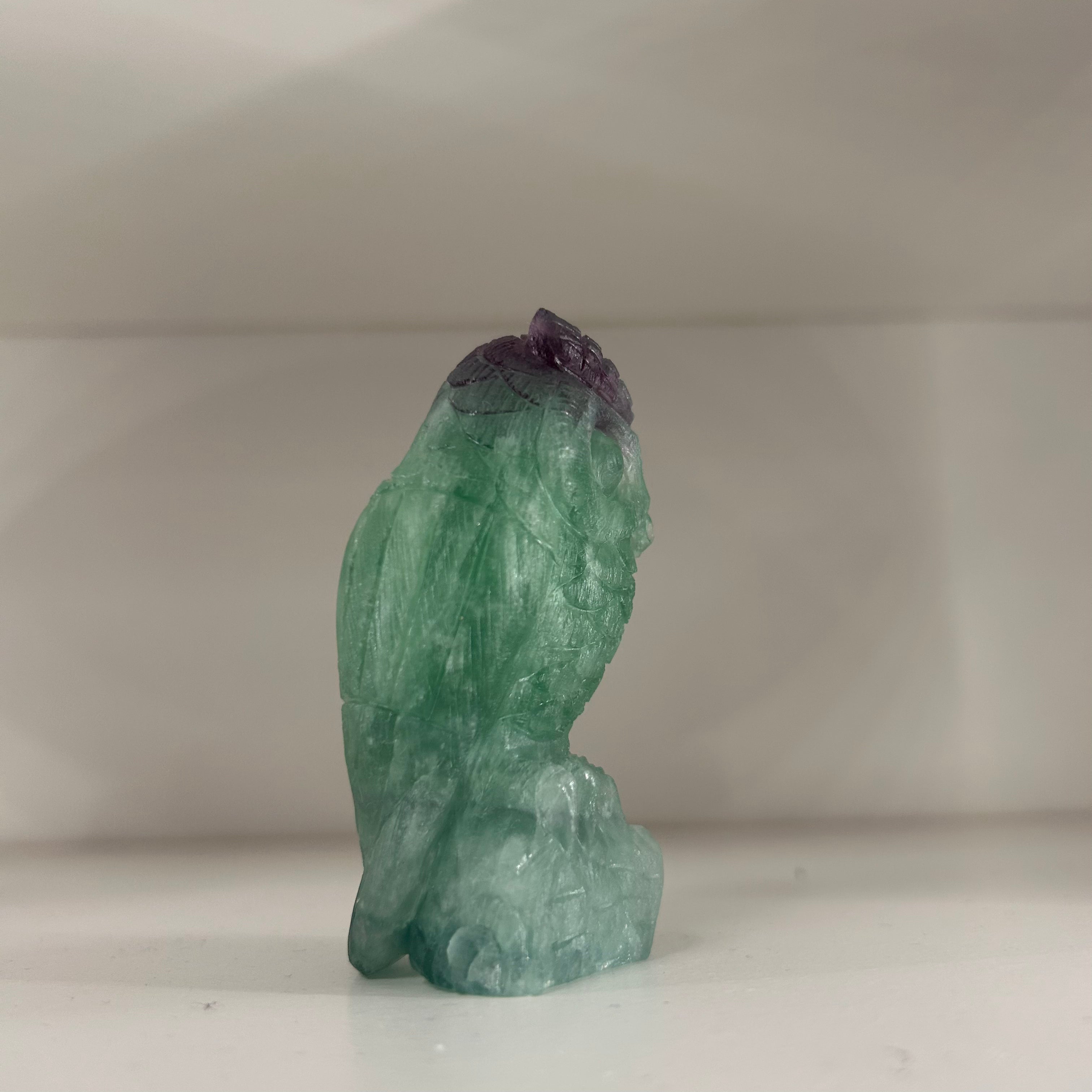 Fluorite Owl