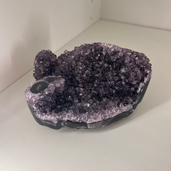 Amethyst Pine Cluster