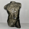 Silver Obsidian Male Bodyform