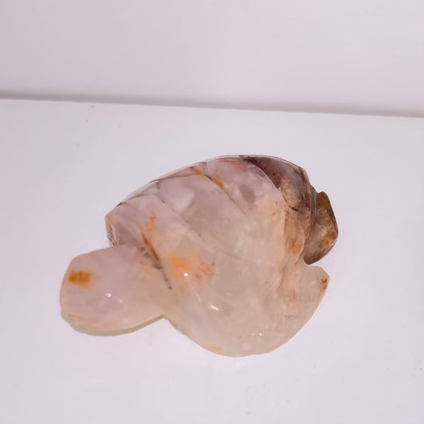 Amethyst Turtle