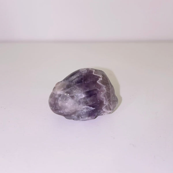 Amethyst Frog