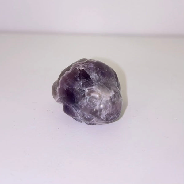 Amethyst Frog