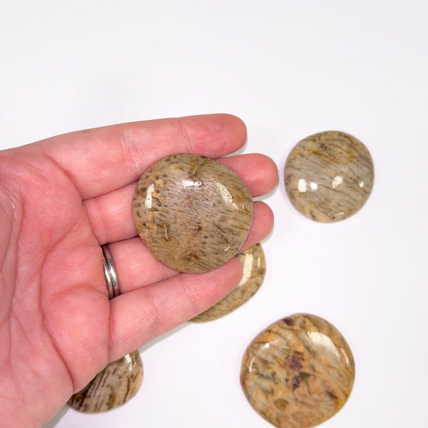 Yellow Amazonite Smoothstone