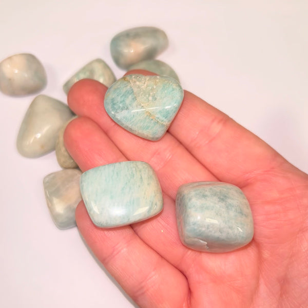 Amazonite ts