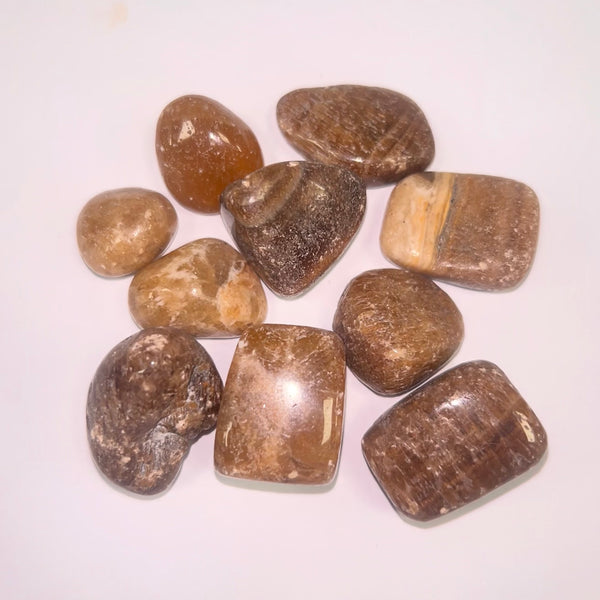 Aragonite Ts