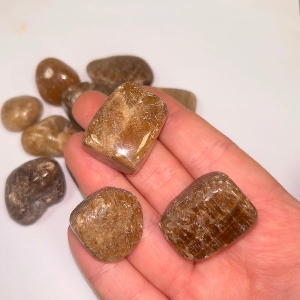 Aragonite Ts