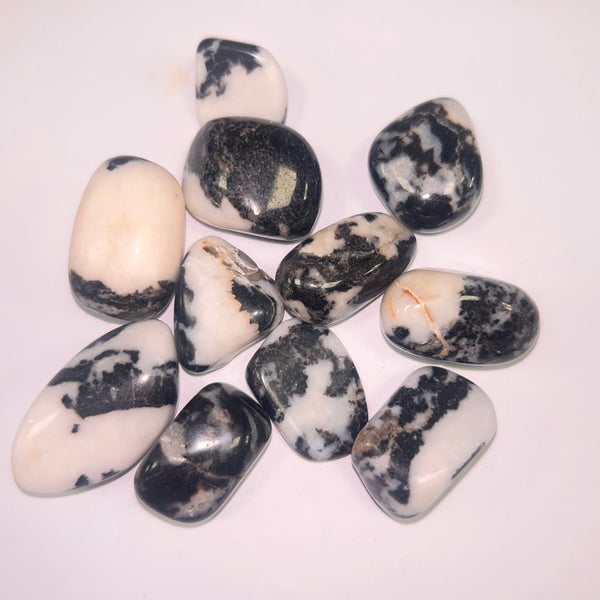 Zebra Agate TS