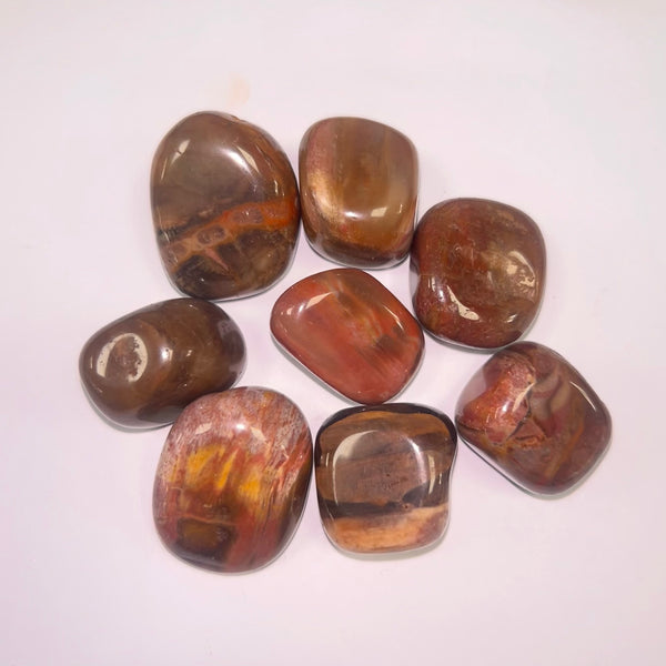 Petrified Wood TS