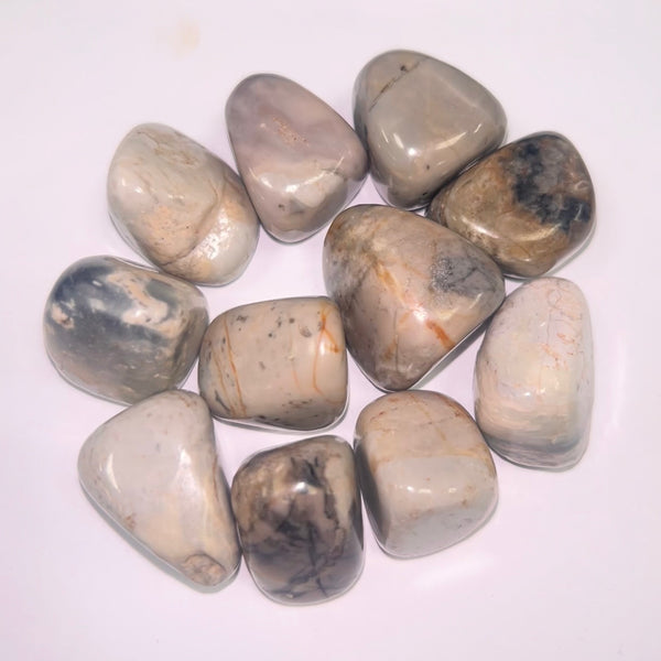 Picasso Stone TS