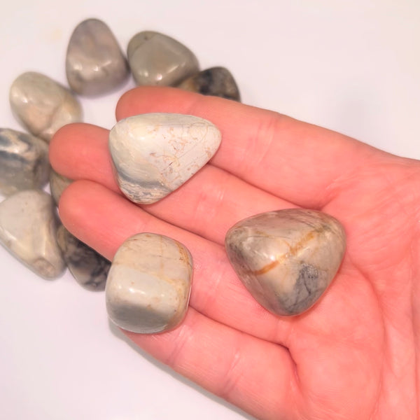 Picasso Stone TS