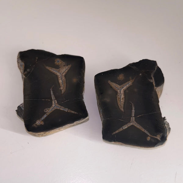 Septarian Pair (Middle Atlas Morocco)