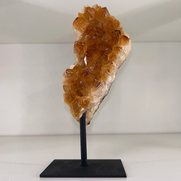 Citrine on Stand