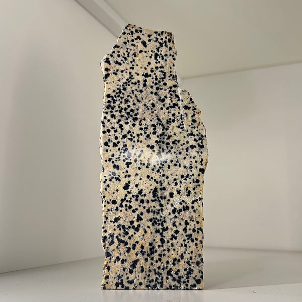 Dalmation Jasper Polished Front Tower