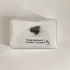Moldavite Piece