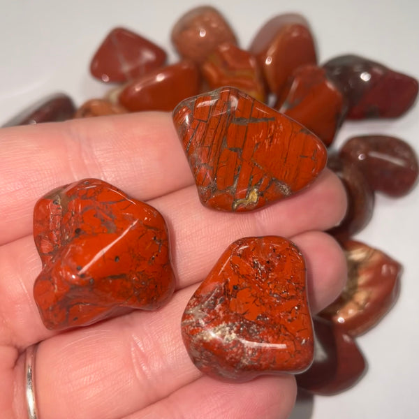Brecciated Jasper TS